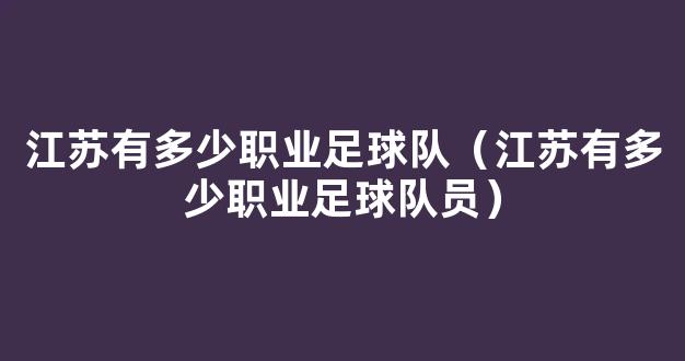 江苏有多少职业足球队（江苏有多少职业足球队员）