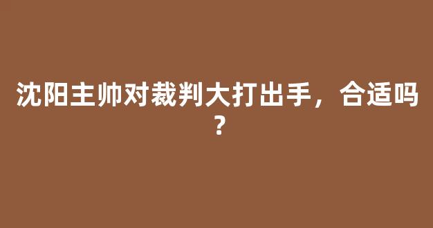 沈阳主帅对裁判大打出手，合适吗？