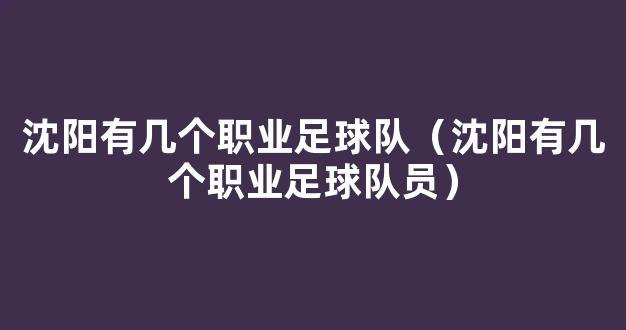 沈阳有几个职业足球队（沈阳有几个职业足球队员）