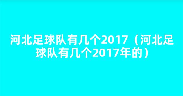 河北足球队有几个2017（河北足球队有几个2017年的）