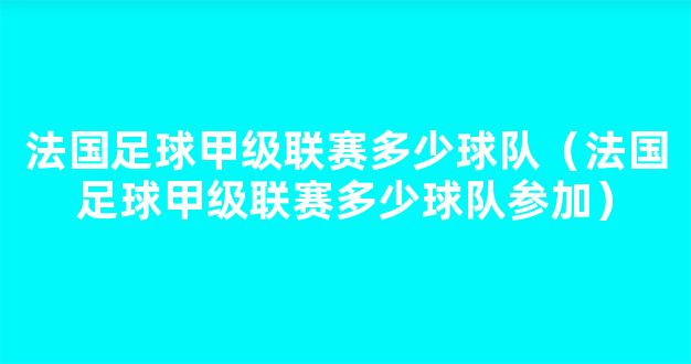 法国足球甲级联赛多少球队（法国足球甲级联赛多少球队参加）