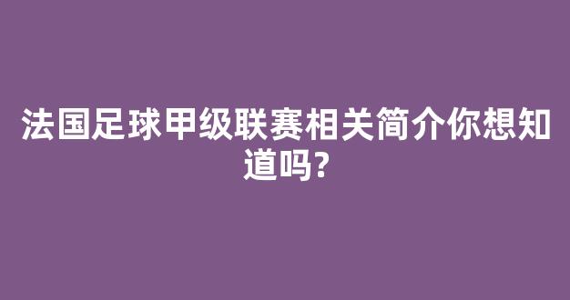 法国足球甲级联赛相关简介你想知道吗?