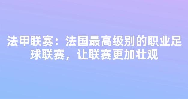 法甲联赛：法国最高级别的职业足球联赛，让联赛更加壮观