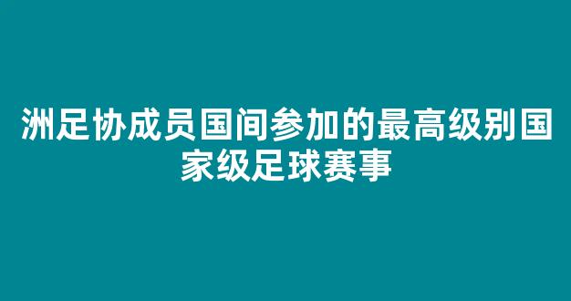 洲足协成员国间参加的最高级别国家级足球赛事