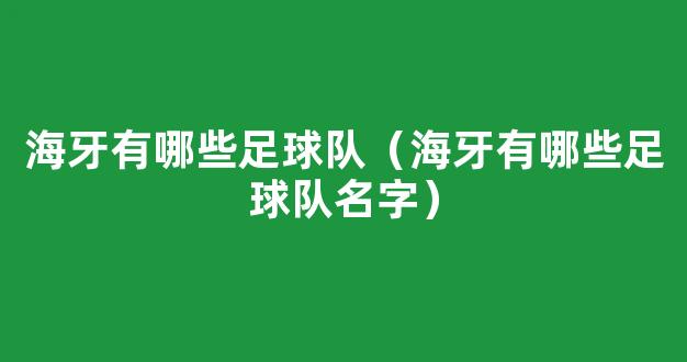 海牙有哪些足球队（海牙有哪些足球队名字）