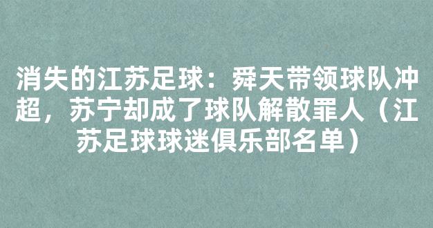 消失的江苏足球：舜天带领球队冲超，苏宁却成了球队解散罪人（江苏足球球迷俱乐部名单）