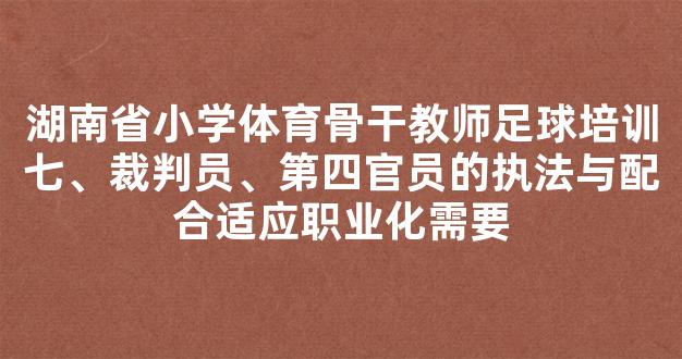 湖南省小学体育骨干教师足球培训七、裁判员、第四官员的执法与配合适应职业化需要