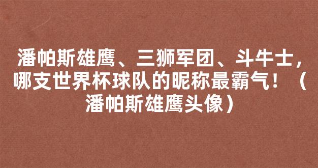 潘帕斯雄鹰、三狮军团、斗牛士，哪支世界杯球队的昵称最霸气！（潘帕斯雄鹰头像）