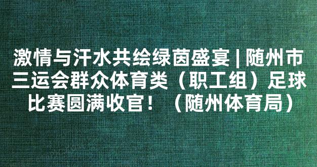 激情与汗水共绘绿茵盛宴 | 随州市三运会群众体育类（职工组）足球比赛圆满收官！（随州体育局）