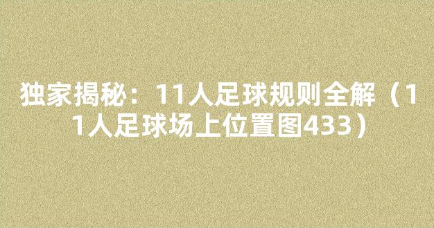 独家揭秘：11人足球规则全解（11人足球场上位置图433）