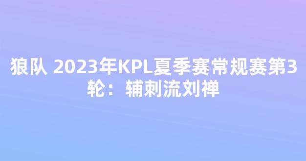 狼队 2023年KPL夏季赛常规赛第3轮：辅刺流刘禅