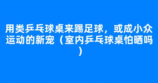 用类乒乓球桌来踢足球，或成小众运动的新宠（室内乒乓球桌怕晒吗）