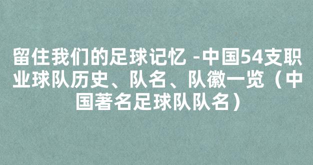 留住我们的足球记忆 -中国54支职业球队历史、队名、队徽一览（中国著名足球队队名）