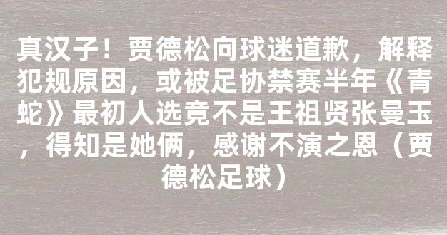 真汉子！贾德松向球迷道歉，解释犯规原因，或被足协禁赛半年《青蛇》最初人选竟不是王祖贤张曼玉，得知是她俩，感谢不演之恩（贾德松足球）