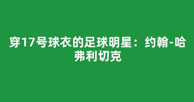 穿17号球衣的足球明星：约翰-哈弗利切克