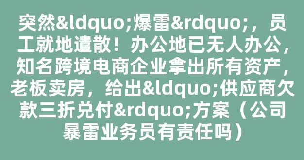 突然“爆雷”，员工就地遣散！办公地已无人办公，知名跨境电商企业拿出所有资产，老板卖房，给出“供应商欠款三折兑付”方案（公司暴雷业务员有责任吗）