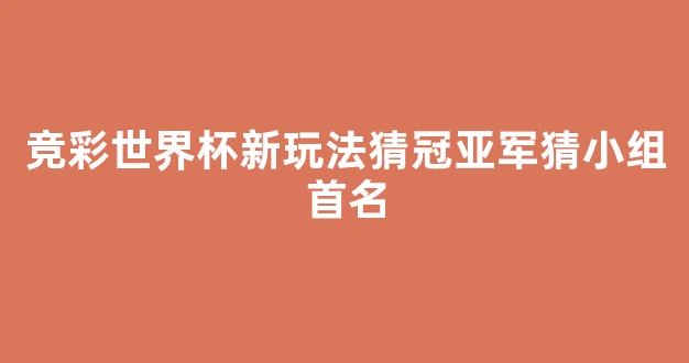 竞彩世界杯新玩法猜冠亚军猜小组首名