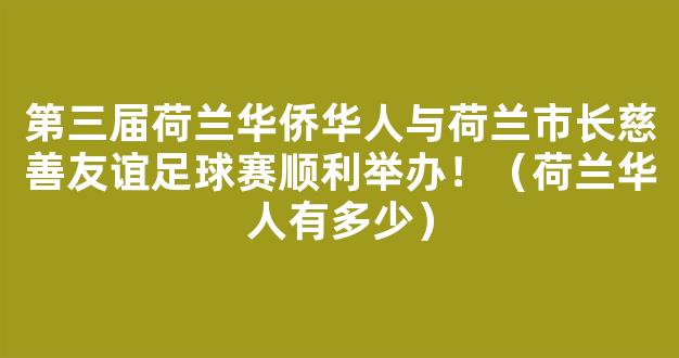 第三届荷兰华侨华人与荷兰市长慈善友谊足球赛顺利举办！（荷兰华人有多少）