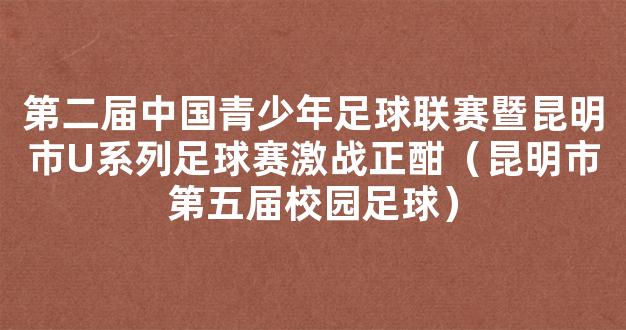 第二届中国青少年足球联赛暨昆明市U系列足球赛激战正酣（昆明市第五届校园足球）