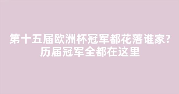 第十五届欧洲杯冠军都花落谁家?历届冠军全都在这里