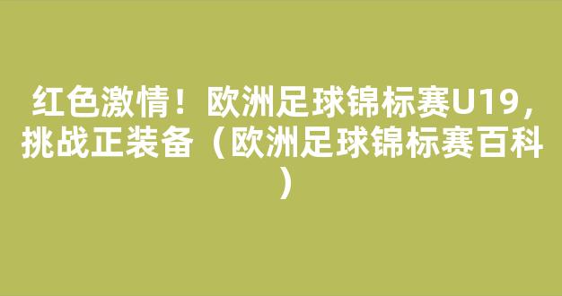 红色激情！欧洲足球锦标赛U19，挑战正装备（欧洲足球锦标赛百科）