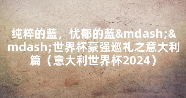 纯粹的蓝，忧郁的蓝——世界杯豪强巡礼之意大利篇（意大利世界杯2024）