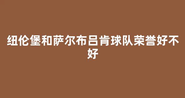 纽伦堡和萨尔布吕肯球队荣誉好不好