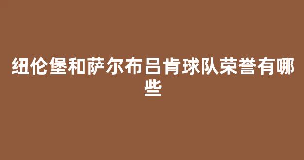 纽伦堡和萨尔布吕肯球队荣誉有哪些