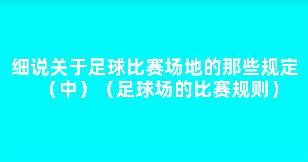 细说关于足球比赛场地的那些规定（中）（足球场的比赛规则）