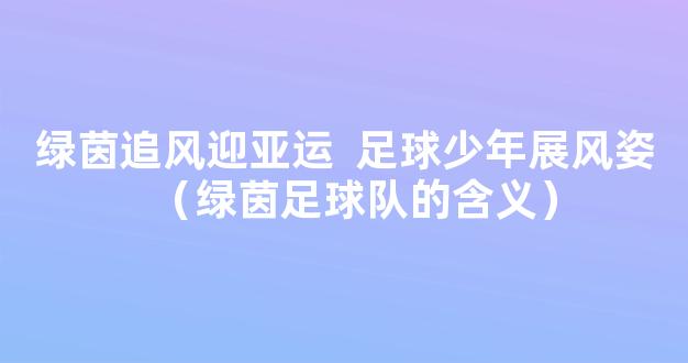 绿茵追风迎亚运  足球少年展风姿（绿茵足球队的含义）