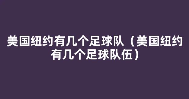 美国纽约有几个足球队（美国纽约有几个足球队伍）