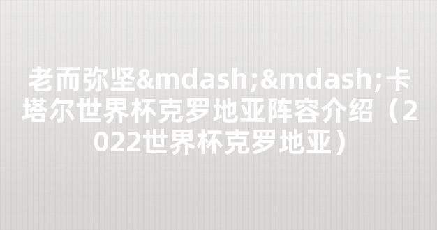 老而弥坚——卡塔尔世界杯克罗地亚阵容介绍（2022世界杯克罗地亚）