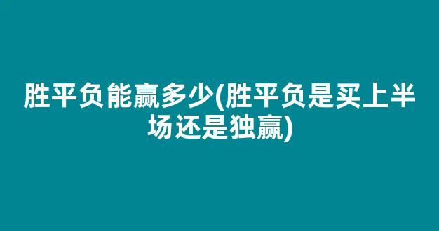 胜平负能赢多少(胜平负是买上半场还是独赢)