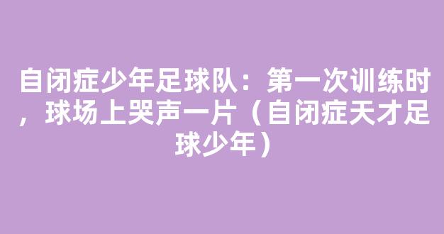 自闭症少年足球队：第一次训练时，球场上哭声一片（自闭症天才足球少年）