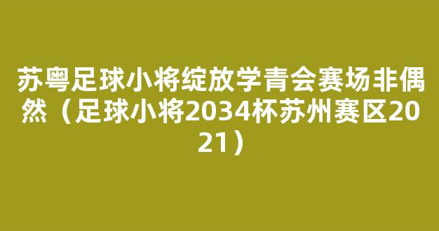 苏粤足球小将绽放学青会赛场非偶然（足球小将2034杯苏州赛区2021）