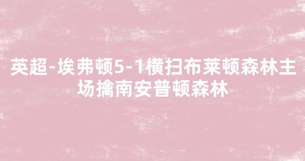 英超-埃弗顿5-1横扫布莱顿森林主场擒南安普顿森林