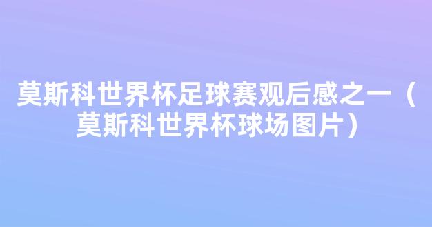 莫斯科世界杯足球赛观后感之一（莫斯科世界杯球场图片）