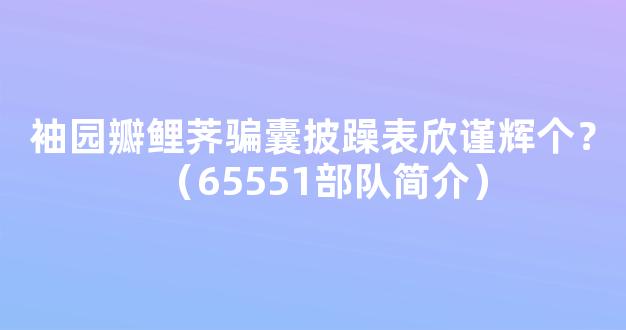 袖园瓣鲤荠骗囊披躁表欣谨辉个？（65551部队简介）