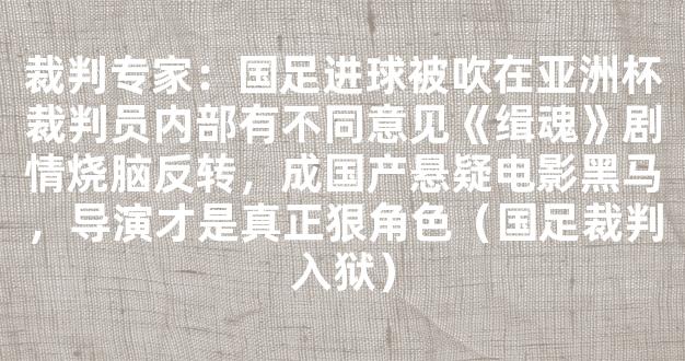 裁判专家：国足进球被吹在亚洲杯裁判员内部有不同意见《缉魂》剧情烧脑反转，成国产悬疑电影黑马，导演才是真正狠角色（国足裁判入狱）