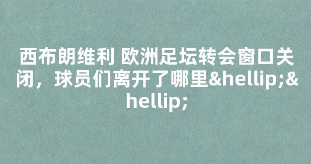 西布朗维利 欧洲足坛转会窗口关闭，球员们离开了哪里……