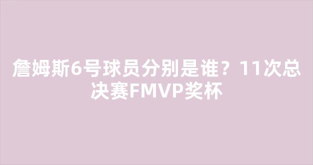 詹姆斯6号球员分别是谁？11次总决赛FMVP奖杯