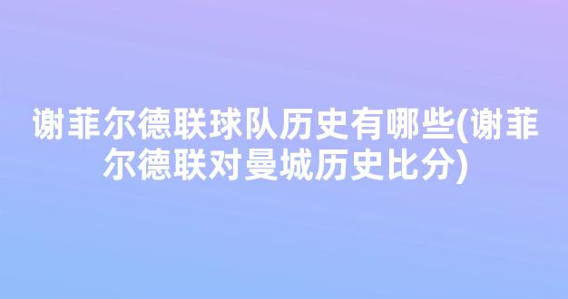 谢菲尔德联球队历史有哪些(谢菲尔德联对曼城历史比分)