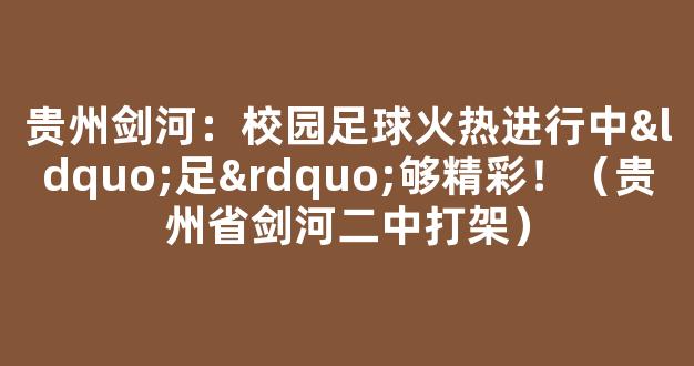 贵州剑河：校园足球火热进行中“足”够精彩！（贵州省剑河二中打架）