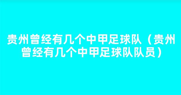 贵州曾经有几个中甲足球队（贵州曾经有几个中甲足球队队员）