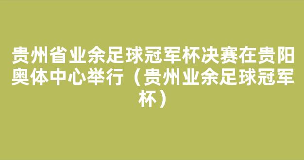 贵州省业余足球冠军杯决赛在贵阳奥体中心举行（贵州业余足球冠军杯）