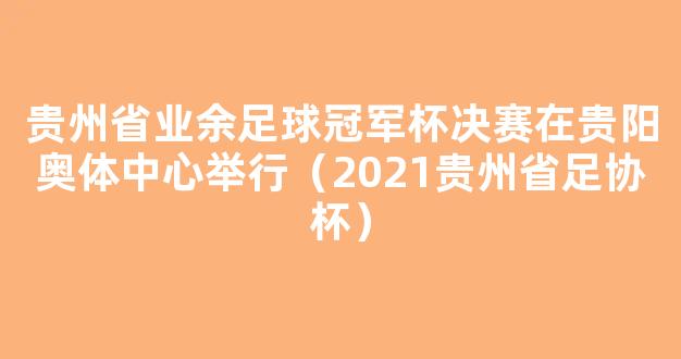 贵州省业余足球冠军杯决赛在贵阳奥体中心举行（2021贵州省足协杯）