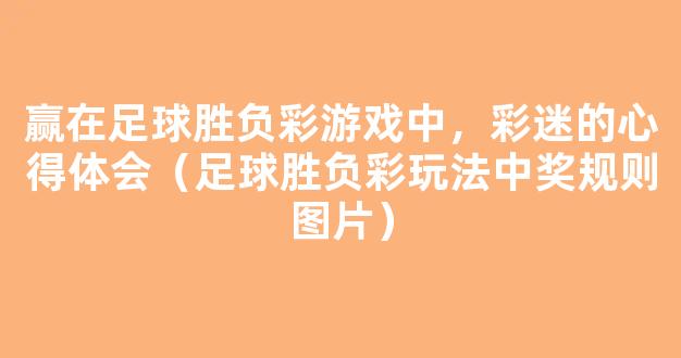 赢在足球胜负彩游戏中，彩迷的心得体会（足球胜负彩玩法中奖规则图片）