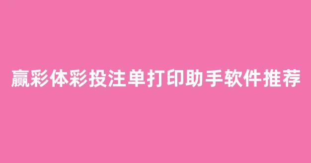 赢彩体彩投注单打印助手软件推荐