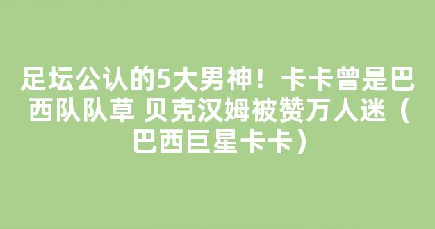 足坛公认的5大男神！卡卡曾是巴西队队草 贝克汉姆被赞万人迷（巴西巨星卡卡）