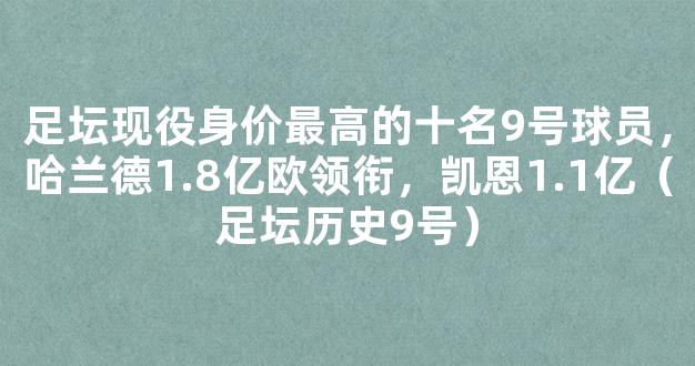 足坛现役身价最高的十名9号球员，哈兰德1.8亿欧领衔，凯恩1.1亿（足坛历史9号）